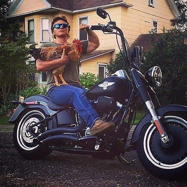 Harley-Davidsonさんのインスタグラム写真 - (Harley-DavidsonInstagram)「Happy #NationalPetDay to our favorite fur-covered and feathered friends! #FindYourFreedom #HarleyDavidson」4月12日 0時57分 - harleydavidson