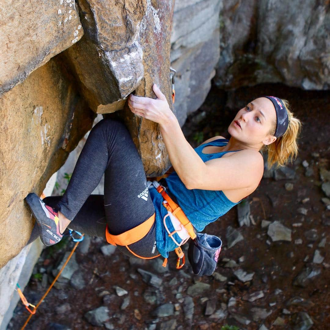 サッシャ・ディギーリアンさんのインスタグラム写真 - (サッシャ・ディギーリアンInstagram)「Climbing the First Ascent of a line that @kevin__capps and I bolted (Kevin sent right after me so we share the FA). I’m proud of this line we found; it has some really unique features. The climb remains sustained and steep the whole way, and while it was a beast to bolt, I think it is the best one we have developed here in Breaks, VA, yet!  We decided to name it “Breaking the Shield” 🛡 because there is an obvious shield looking rock formation midway up the climb that provides some challenging sequences. Also while rappelling, Kevin got hit with a huge rock from the top on his left arm, where a shield would be worn. For me, “Breaking the Shield” resonates as well, as I break ground into this new side of climbing- route development. This line is in the 5.13 range. We will log it on Mountain Project!  #breaksva #climbing #southeast」4月12日 1時09分 - sashadigiulian