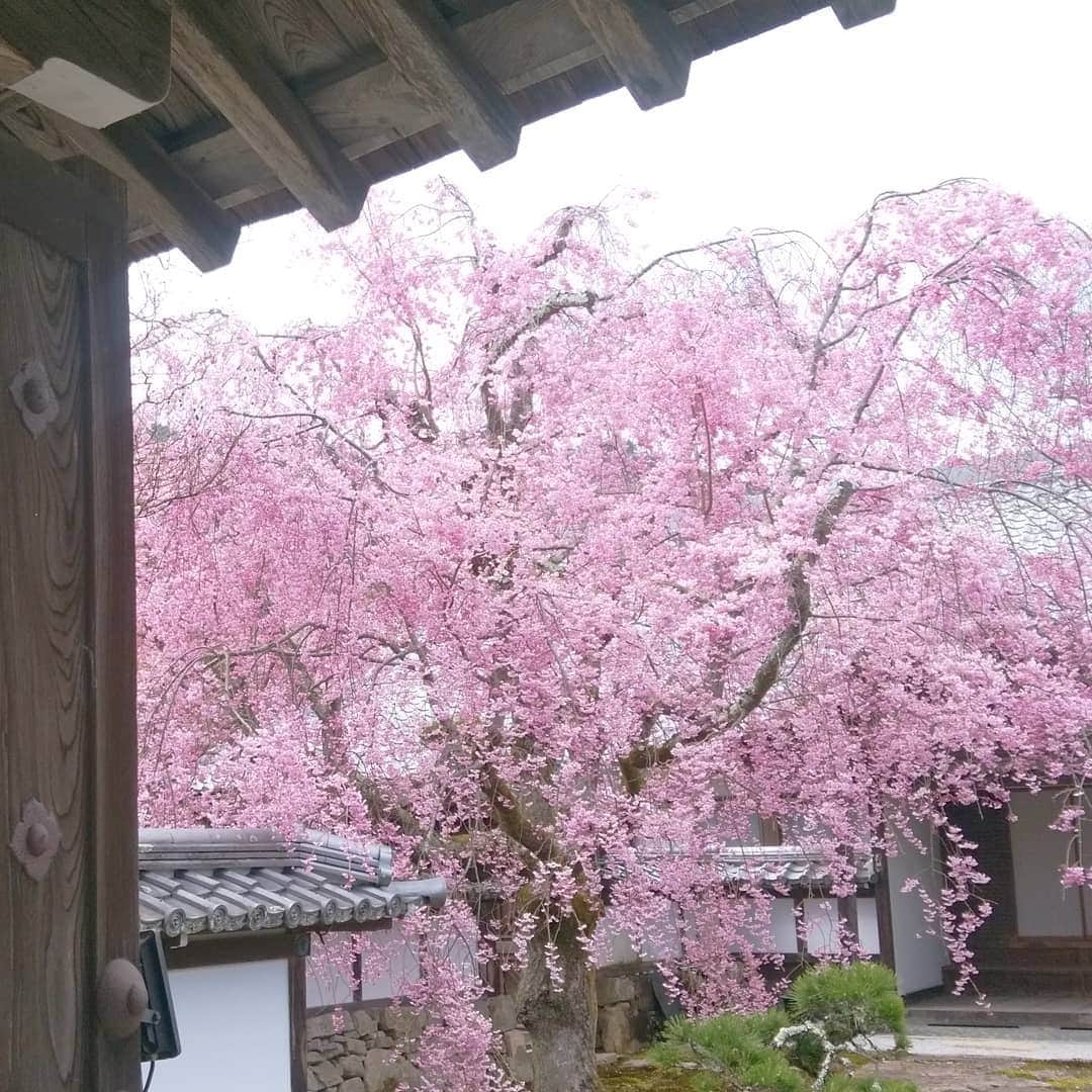 琵琶湖グランドホテル / 京近江のインスタグラム