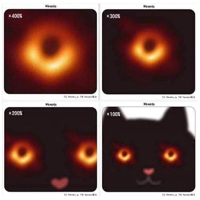 のインスタグラム：「#blackhole #caturday #mysterysolved 🔮」