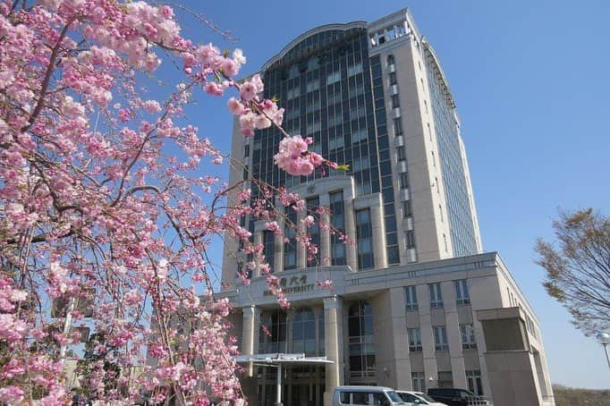 Soka Universityさんのインスタグラム写真 - (Soka UniversityInstagram)「Campus Seasonal Photos April ③ 丹木の歳時記 卯月③ ⑴ 本部棟 ⑵ 女子短大 ⑶ 千花道 ⑷ セントラル前 ⑸ 池田記念講堂付近 ⑹ 中央図書館 ⑺ 創大門付近 ⑻ 文学の池 ⑼ 平安の庭 ⑽ 桜花の道 #discoversoka #sodaigram #sokauniversity #創価大学 #hachioji #八王子 #tokyo #東京 #campus #キャンパス #university #大学 #spring #春 #april #4月 #卯月 #international #国際 #students #学生」4月12日 10時52分 - sokauniversity