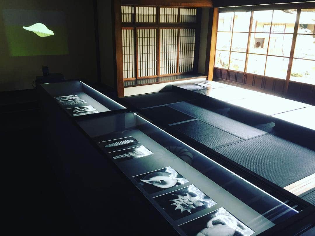 松宮宏のインスタグラム：「KyotoGraphie プレスツアー参加中 @ryosokuin」