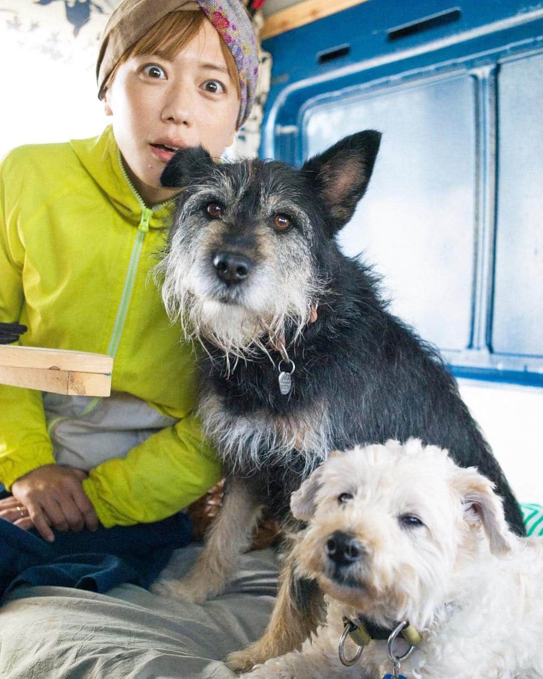 甲斐麻美さんのインスタグラム写真 - (甲斐麻美Instagram)「だんご的な・・・ 😳🐺🐶 毎日 #ごきげん 幸せハッピー←  #いぬとわたし #いぬのいる暮らし #photography #元保護犬 #犬のいる暮らし」4月12日 11時05分 - kaico_asami