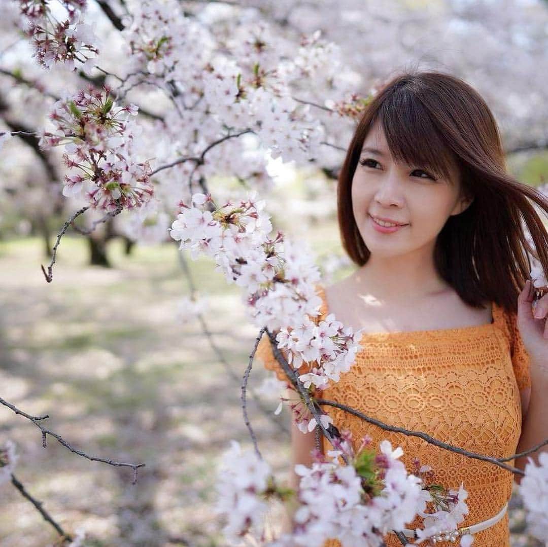 沢木麻衣のインスタグラム：「お花見撮影会🌸 #お花見 #撮影会 #桜 #桜満開 #写真好きな人と繋がりたい  #写真で伝えたい私の世界  #花見 #春コーデ」