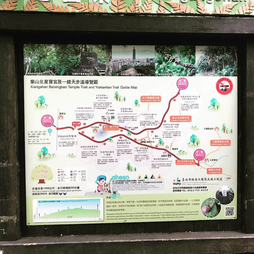 レイ・アレンさんのインスタグラム写真 - (レイ・アレンInstagram)「Taipei City, Taiwan #taipei101 #elephantmountain #nbaaroundtheglobe #thisiswhyweplay #travelistruth #wanderlust #whereswally」4月12日 11時53分 - trayfour