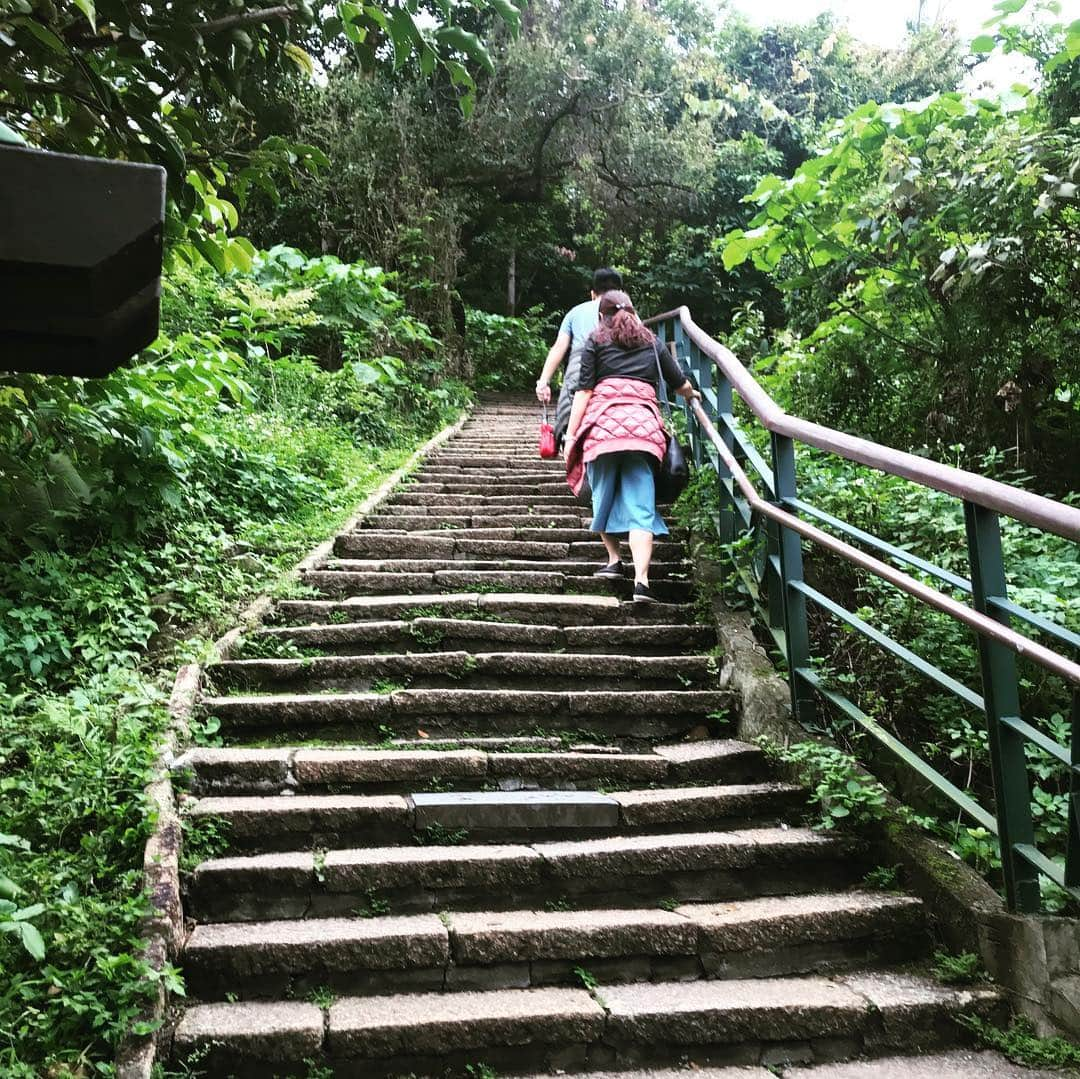 レイ・アレンさんのインスタグラム写真 - (レイ・アレンInstagram)「Taipei City, Taiwan #taipei101 #elephantmountain #nbaaroundtheglobe #thisiswhyweplay #travelistruth #wanderlust #whereswally」4月12日 11時53分 - trayfour