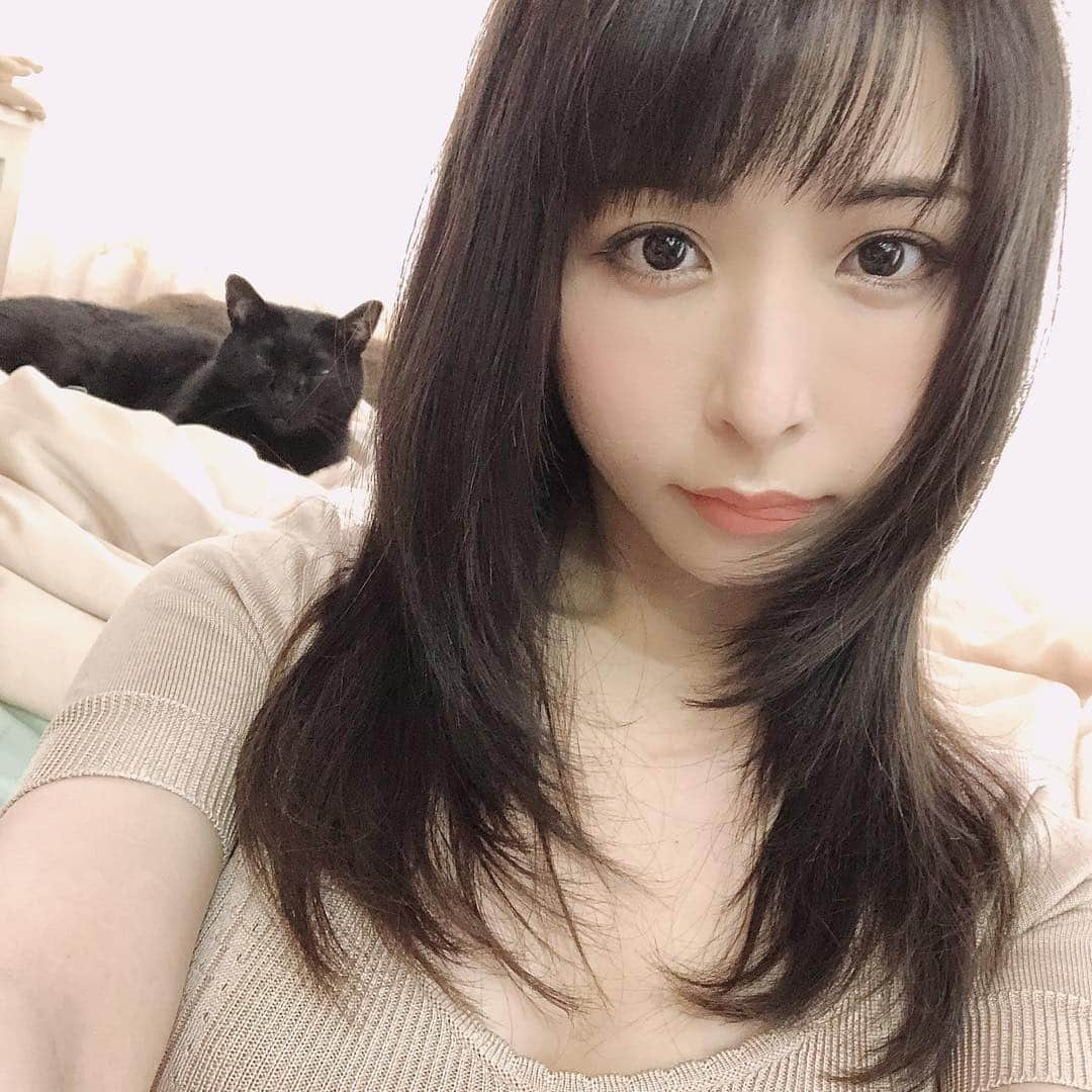 照沼ファリーザ（晶エリー）のインスタグラム：「‪おはよ、今日はストレートにしたんだぁ‬ ‪#猫のいる暮らし‬」