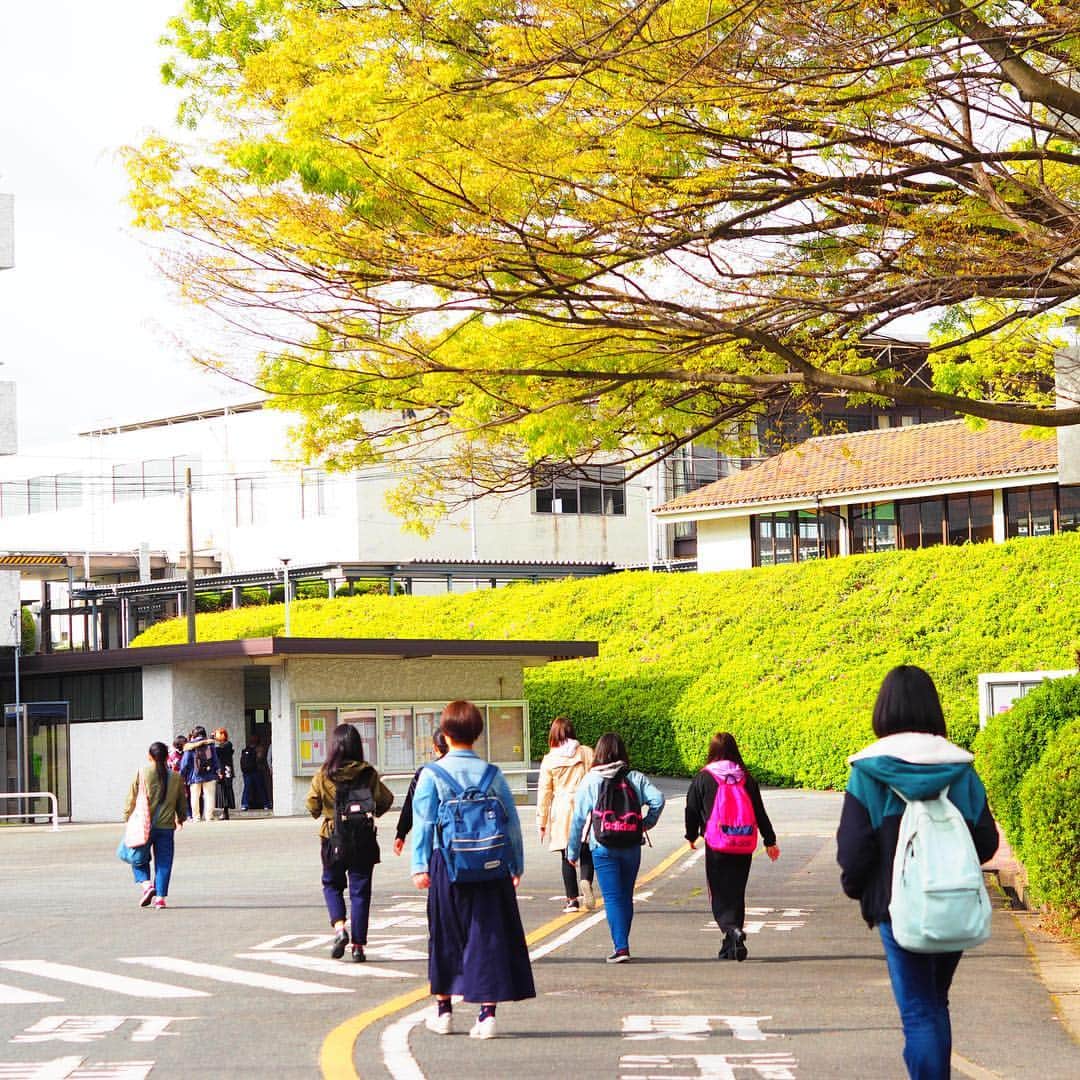 福岡女子短期大学さんのインスタグラム写真 - (福岡女子短期大学Instagram)「@福岡女子短期大学 . おはようございます。 福岡女子短期大学 です🎀 . 写真は今朝の通学風景👣 子ども学科🌱の皆さん今日も元気です✨✨✨ . #太宰府　#福岡　#福女短 #福岡女子短期大学　#福女短　#通学　#4月12日　#太宰府　#スナップショット　 #スナップ写真　#コーデ　#学校　#キャンパスライフ　#大学　 #新緑 # #福岡女子短期大学子ども学科 #女子大生　#写真好きな人と繋がりたい #リア充  #元気です #春コーデ　#4月　#大学生コーデ　#スナップ #街角スナップ　#福女短スナップ #短大生 #おしゃれさんと繋がりたい . ========[ 資料請求 ]======== ． 新しい福岡女子短期大学の資料請求（2020大学案内）を無料送付中です。本学ホームページからお気軽に申し込みください。 . 子ども学科/健康栄養学科 音楽科/文化教養学科 ． 福岡女子短期大学 住所：‪福岡県太宰府市五条四丁目16番1号‬ tel：‪092-922-4034‬（代表）」4月12日 12時06分 - fukuoka_wjc