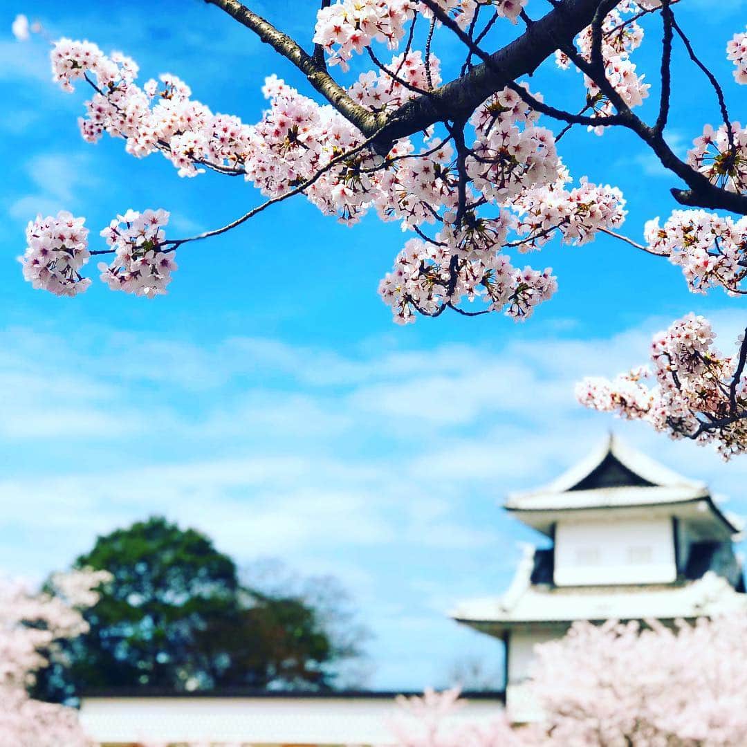 フルオブビーンズのグルメインスタ