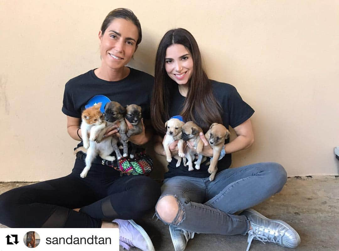 ロゼリン・サンチェスさんのインスタグラム写真 - (ロゼリン・サンチェスInstagram)「Yes! All that she said! 😘 gracias @sandandtan and @thepuertoricodogfund for all that you do.... #satos  #Repost @sandandtan with @get_repost ・・・ Blessed to be surrounded by so many amazing humans whose focus in life is to give. My friend Roselyn has been so instrumental in championing for animal welfare here on our island of Puerto Rico, not only helping my foundation, but so many others. She works tirelessly behind the scenes helping me accomplish things I could not do on my own. Publicly she uses her immense platform to be a voice for the voiceless. I’m beyond excited to share the news that this babe is making her directorial debut working alongside Emmy Award producer, director and writer, Juan Agustin Marquez on the new film “Satos” which will take another much needed look into our islands relatioship with animals. There’s a link in my bio to Juan Marquez’s Emmy Award winning documentary 100,000 - which debuted 8 years ago and was the first time the world was able to see what was happening down here. Juan has for so long been someone I looked up to for bringing light to our epidemic on a world wide scale. I have no doubt that this duo will produce something groundbreaking. There’s a link in my bio for a preview of Juan’s 2011 doc - check it out if you want to understand why the work we all do is so important to our island. And if you loves doggos as much as I do - follow @satosfilm @roselyn_sanchez @juanmarquezfilm 😘😘😘」4月12日 4時18分 - roselyn_sanchez