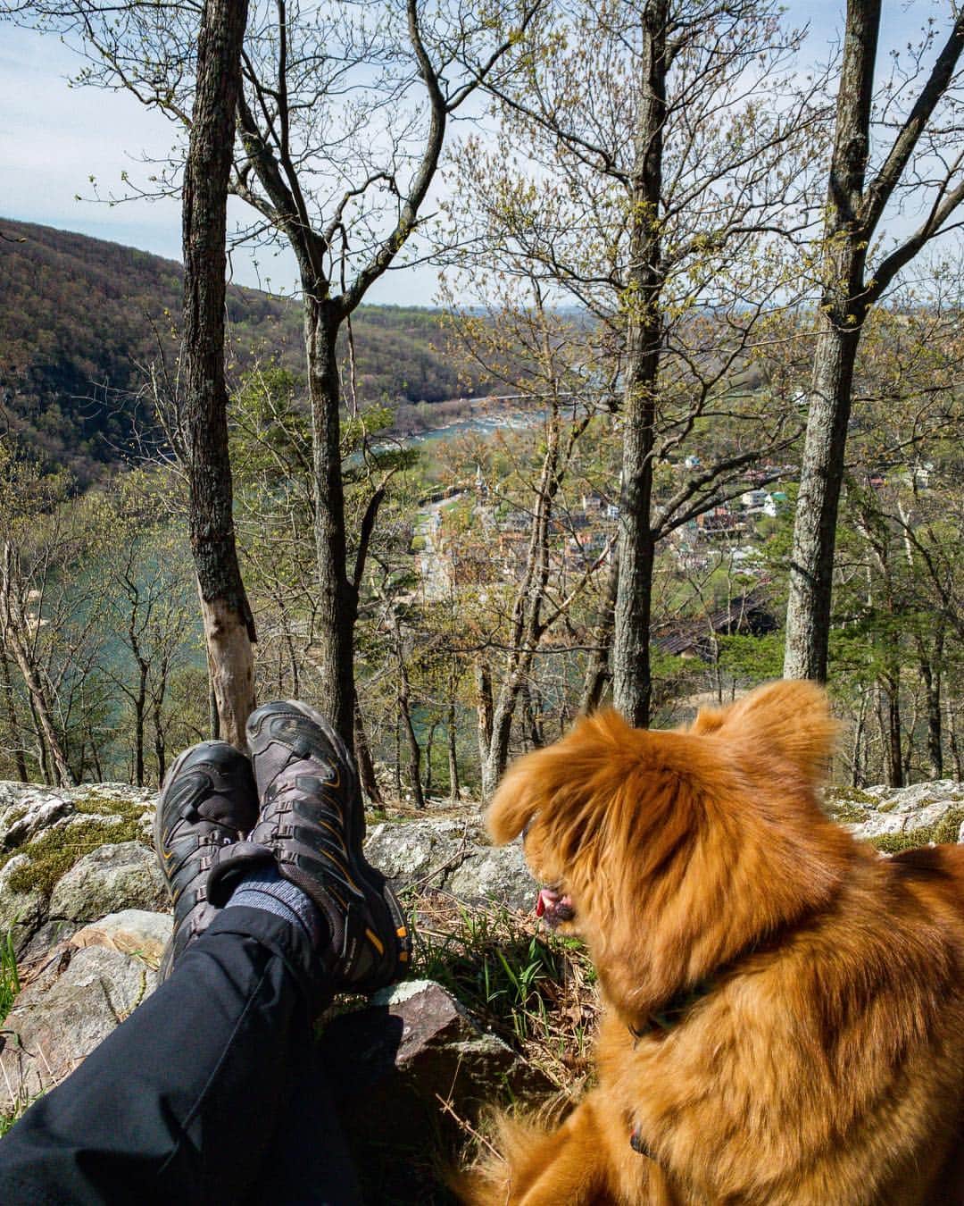 マイケル・パーソンズさんのインスタグラム写真 - (マイケル・パーソンズInstagram)「Hiking around Harper's Ferry was a perfect way to spend the morning 👍🏼」4月12日 4時55分 - michaelap95