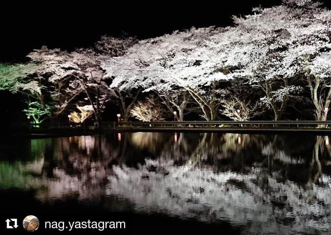 Gero City【下呂市公式アカウント】さんのインスタグラム写真 - (Gero City【下呂市公式アカウント】Instagram)「#Repost @nag.yastagram with @get_repost ・・・ 今日は風が強かったから 夕飯食べるまで迷ってたけど 明日も良いとは限らないし… 「行くだけ行ってみるか💦」 案の定…風💦😅 寒かった💦 けど…温かいおでん🍢で💪😁 だんごはお土産に😊 おいしかった😋  #岐阜県#下呂市金山町  #八坂湖畔桜 #さくら🌸 #桜🌸  #ライトアップ #夜桜  #水田 #リフレクション  #風が#水面を#揺らす  #バザー #おでん #だんご  #他にもあるよ #串かつ#たこ焼き #フライドポテト#飲み物 #etc  #熱燗が飲みたかった  #下呂アンバサダー  #gerostagram」4月12日 5時09分 - gerostagram