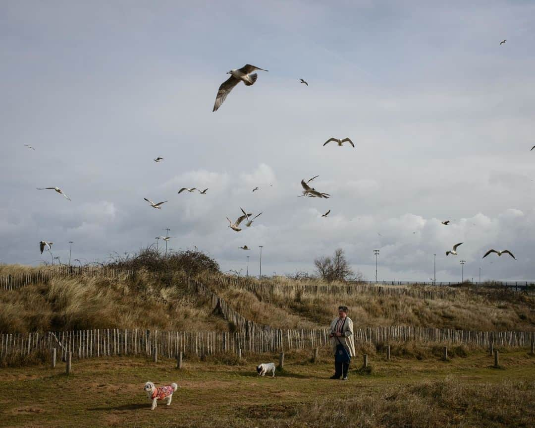 ルモンドさんのインスタグラム写真 - (ルモンドInstagram)「A l’approche du Brexit, « Le Monde » a parcouru les régions côtières françaises et anglaises à la recherche de ce qui, depuis des siècles, rapproche ou éloigne les deux pays. Premier périple de ce côté-ci de la Manche, sur les côtes normandes. Pour lire le reportage, cliquer sur le lien dans notre bio. - 1 : Une femme se proméne avec ses chiens sur la plage de Ouistreham, le 4 mars 2019. En arriére plan le port des ferrys qui proposent une traversée de la Manche. 2 : Des vétérans anglais ayant participés à la prise du pont Pegasus pendant le débarquement. 3 : Représentation de Guillaume le Conquérant dans le musée de la tapisserie de Bayeux. 4 : Sur le pont du ferry Mont St Michel, entre Ouistreham et Portsmouth. 5 : Des containers sur le Port du Havre. - Photos : Guillaume Herbaut (@guillaumeherbaut) #PourLeMonde」4月12日 6時51分 - lemondefr