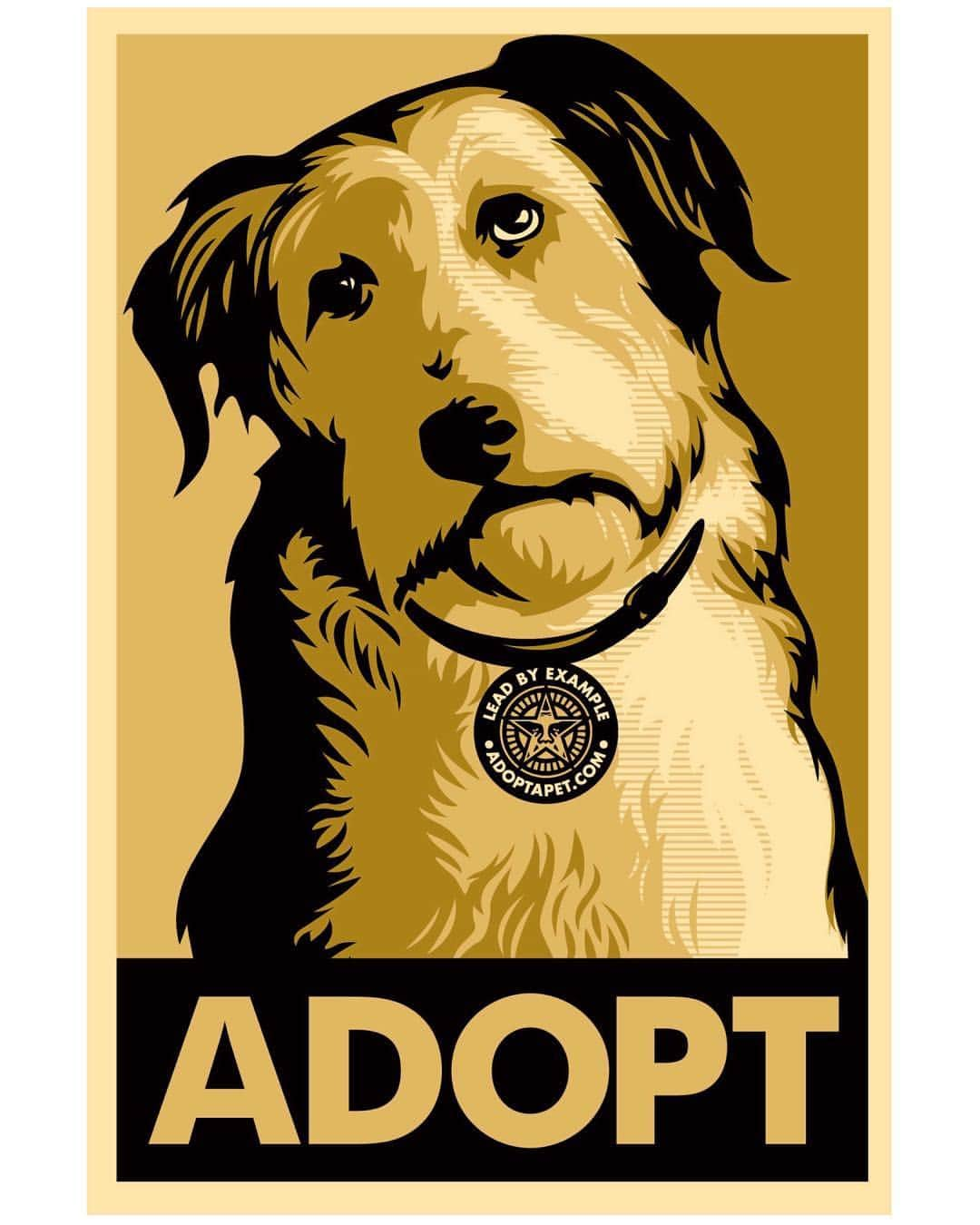 Shepard Faireyさんのインスタグラム写真 - (Shepard FaireyInstagram)「I created this ‘Lead by Example’ ADOPT print back in 2009. The project started as a commemoration of the historic day that a dog adopted from a shelter or rescue group took up residence in the White House, but it then became a plea for everyone to ‘Lead by Example!' The directive was a ‘call to action’ to raise awareness for the plight of shelter animals nationwide. I partnered with Adopt-a-Pet.com to get the millions of great shelter animals to be seen, saved and into loving homes. Proceeds from the print purchases went entirely towards these efforts. It was and still is my hope today that this piece inspires people to become advocates for these animals. These animals urgently need us! - Shepard ⠀⠀⠀⠀⠀⠀⠀⠀⠀ Happy #NationalPetDay. Please visit @adoptapetcom to learn more about their organization. #obey #obeygiant #shepardfairey #adopt」4月12日 7時01分 - obeygiant