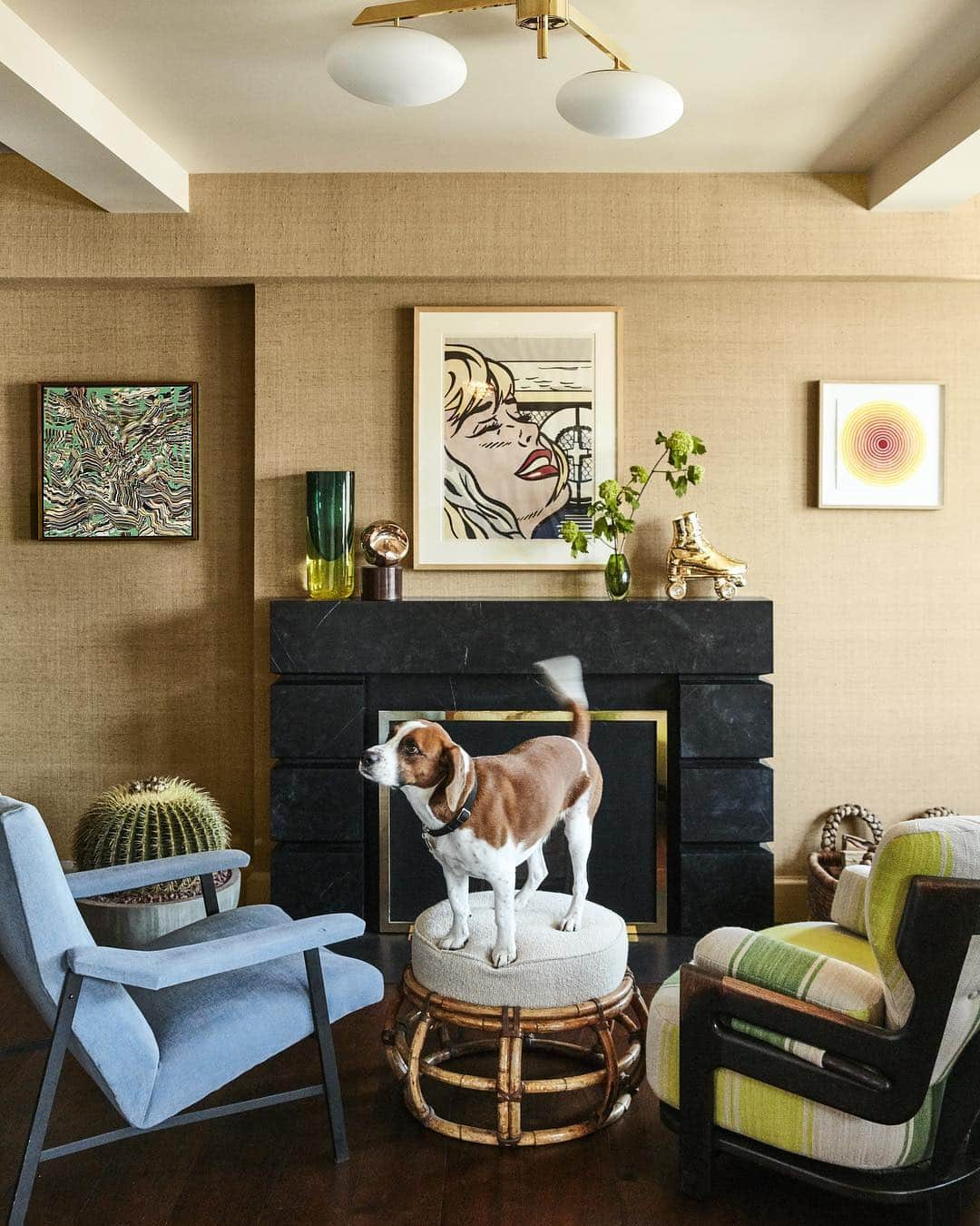 ELLE DECORさんのインスタグラム写真 - (ELLE DECORInstagram)「We’re celebrating #NationalPetDay with @bravoandy’s Instagram-famous dog @therealwacha, seen here in the sitting room of Cohen’s New York apartment. 🐶 📸: @thefacinator, designed by @erichughesdesign, as seen in our October 2017 issue.」4月12日 7時07分 - elledecor