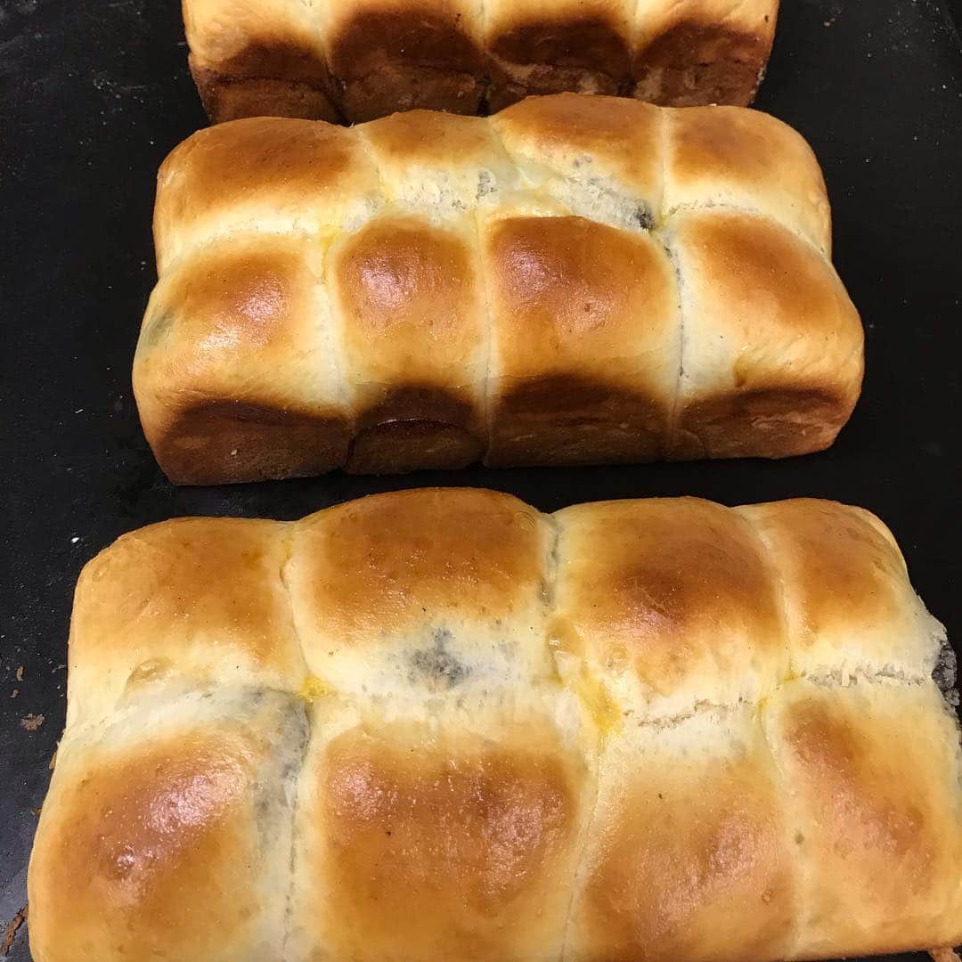 魔女菅原のグルメインスタ