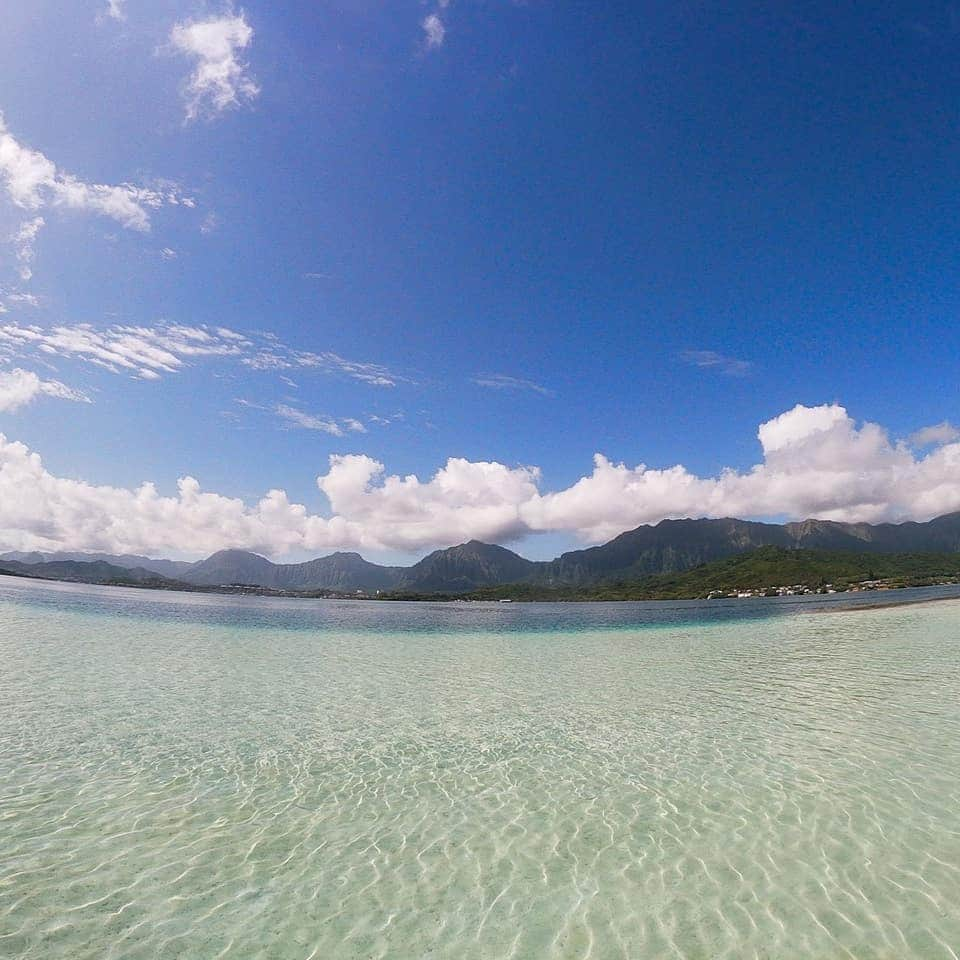 Luxury Cruise by Captain Bruceさんのインスタグラム写真 - (Luxury Cruise by Captain BruceInstagram)「海のグラデーションがすごい！  #captainbruce #sandbar #kaneohe #hawaii #oahu #oahulife #ahuolaka #キャプテンブルース #天国の海 #アフオラカ #ハワイ大好き #絶景 #海」4月12日 8時01分 - cptbruce_hi