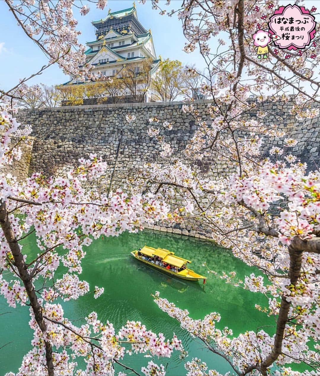 はなまっぷ❁日本の花風景さんのインスタグラム写真 - (はなまっぷ❁日本の花風景Instagram)「🍃🌸はなまっぷ平成最後の桜まつり🌸🍃 * @yukiame22 さんの 平成の桜に花まるを💮 * 平成を彩る日本の美しい桜をありがとうございます😊🌸🍃 * 大阪  #大阪城公園 Osaka Castle Park, Osaka. * 見頃を過ぎている場所もご紹介しています。 お出かけの際はHP等で最新の情報をご確認くださいね🙏🌸🍃 * 🌸•••🍃•••🌸•••🍃•••🌸•••🍃•••🌸 * 🌸桜まつり概要🌸 * 期間:平成最後の日まで タグ:#はなまっぷ * #はなまっぷ  のタグの中から、桜のお写真をどんどんご紹介させていただきます。期間中はランダムに、複数枚投稿でもご紹介させていただく場合がございます。 * #桜#sakura#花見#さくら#日本#春#花#平成最後の#満開#大阪城 * 🌸•••🍃•••🌸•••🍃•••🌸•••🍃•••🌸 * はなまっぷより * 💌LINEスタンプ「はなまっぷちゃん」絶賛発売中！みなさんのLINEにも花まるを💮 💌はなまっぷ本、Amazonや全国の書店さんで満開です！ぜひお手にとっていただけると嬉しいです🌸 * LINEスタンプ、はなまっぷ本は、プロフ欄記載のTwitterアカウントよりご確認ください。 * 🌸•••🍃•••🌸•••🍃•••🌸•••🍃•••🌸 *」4月12日 8時12分 - hanamap