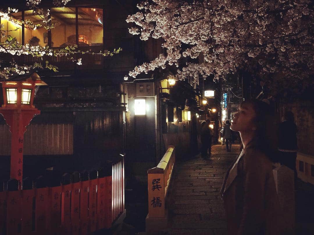杜このみのインスタグラム：「京都の夜桜♡ #京都」