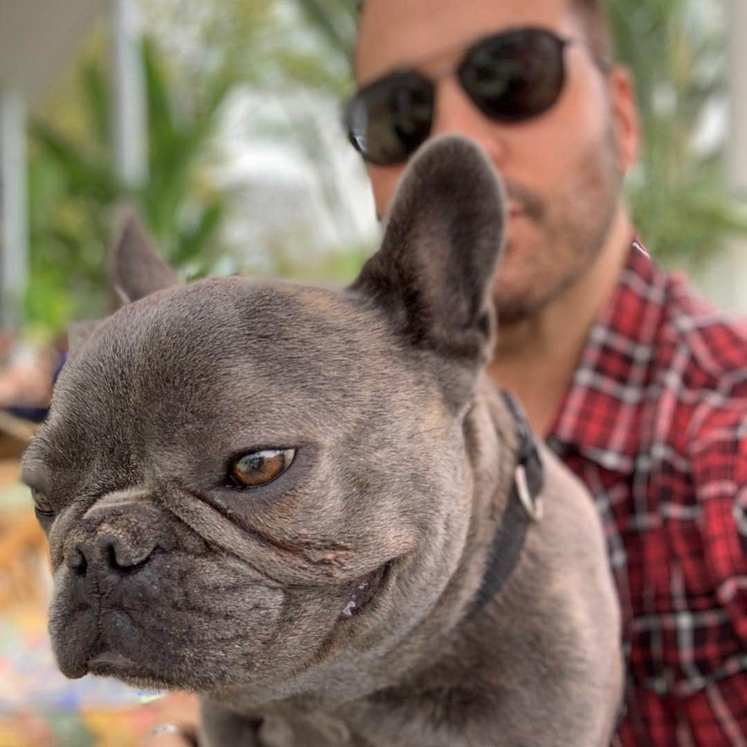 ジェレミー・ピヴェンさんのインスタグラム写真 - (ジェレミー・ピヴェンInstagram)「Back with my guy!! Been missing this little truffle pig ...」4月12日 8時43分 - jeremypiven