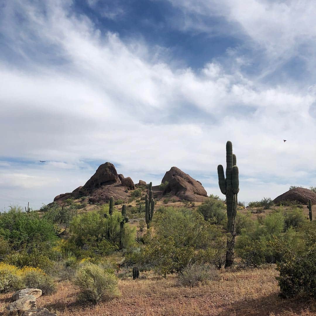 トーランス・クームスさんのインスタグラム写真 - (トーランス・クームスInstagram)「Arizona you sure are pretty.」4月12日 8時49分 - torrancecoombs