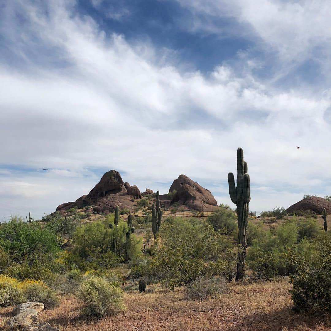 トーランス・クームスのインスタグラム：「Arizona you sure are pretty.」