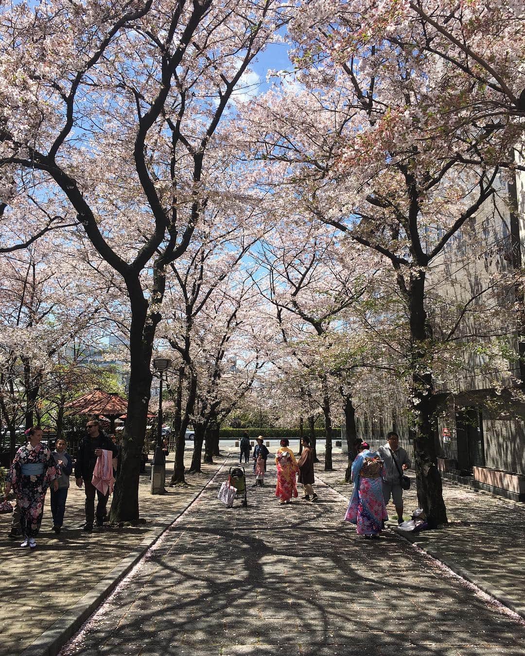 Rodner Figueroaのグルメインスタ