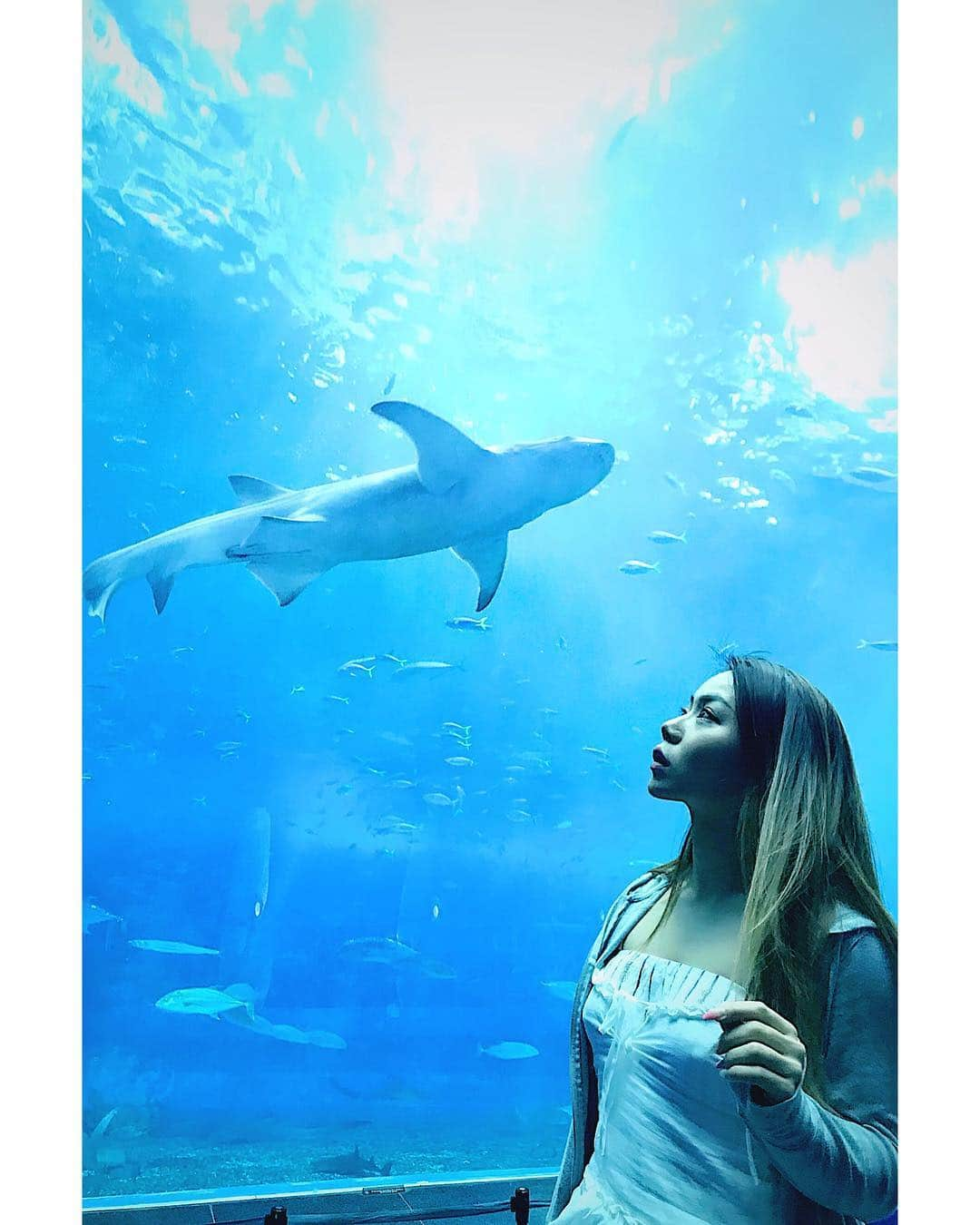 倉地美晴さんのインスタグラム写真 - (倉地美晴Instagram)「美ら海水族館🐚🐠🐳🐢 海が大好きだからもちろん海の生き物も好き。 特に小さい魚よりも大物に惹かれてしまう。 ダイビングでポイントを決めるときも、大物に出会える場所を優先する。 美ら海にはジンベイザメやマンタ、 それに大好きなダイオウイカの展示(死体だけど)があって何度行ってもわくわくする✨🦑 そして告知！ 今日の午後1時からNHK BS1スペシャル【筋肉女子】またまた再放送します！ 前回見逃してしまった方、 また見てモチベーションを上げたい方、 みんなぜひチェックしてね！  #genic_beach #genic_okinawa #okinawa #美ら海水族館 #沖縄」4月12日 8時58分 - miharu_kurachi