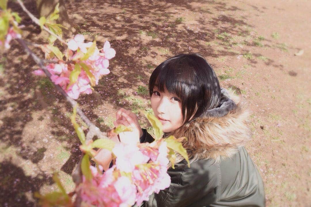 むぎさんのインスタグラム写真 - (むぎInstagram)「#cherryblossom  #jp_mood  #ショートカットの日 だったらしい」4月12日 9時03分 - mugiusagi
