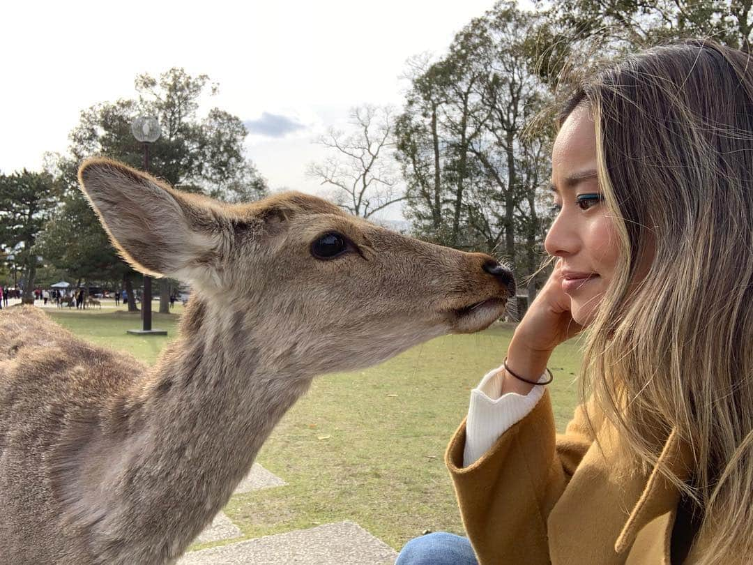 ジェイミー・チャンさんのインスタグラム写真 - (ジェイミー・チャンInstagram)「Got to check this magical experience off my list! ✔️🦌 Someone else is feeling my electric blue liner. I’ll have a list of all the goodies used on this trip up on the #whatthechung soon. @shiseido #beautytranscendstime #jbeauty #nara」4月12日 9時10分 - jamiejchung