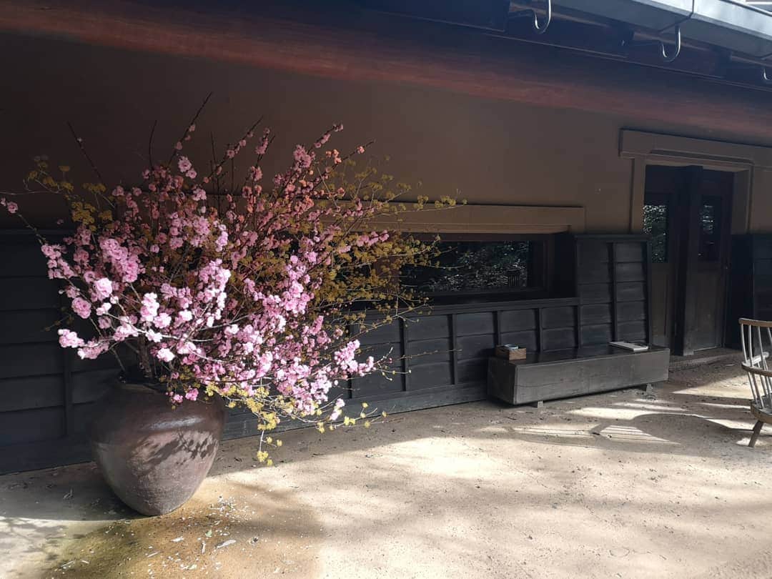 三島葉子のグルメインスタ