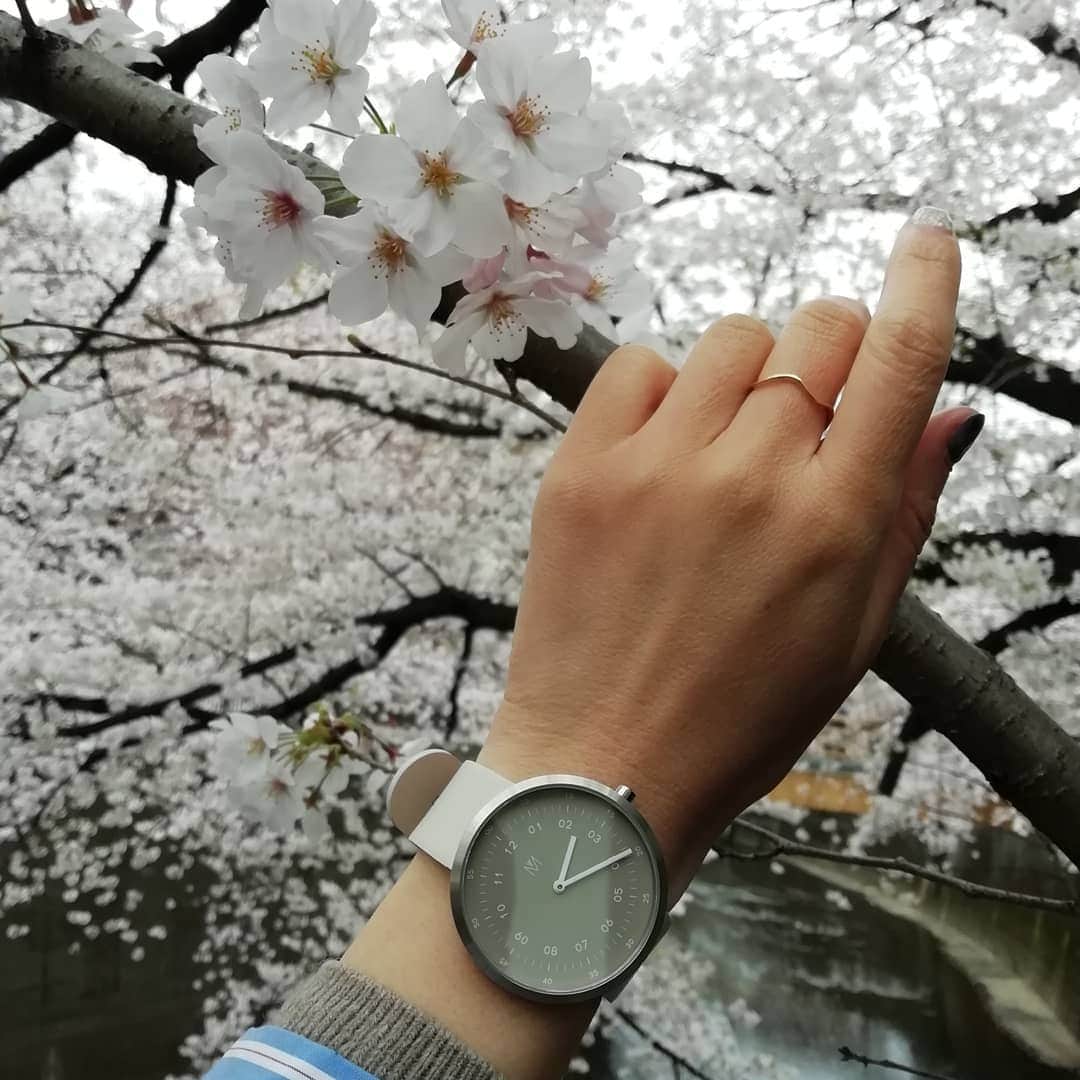 のインスタグラム：「. ★#Watch　★. . 最近つけてる時計⌚✨. @mavenjapan. . 珍しい色とデザインが お気に入り♡. コンセプトは、 『都会と自然』  桜の木ともなじむオシャレな時計です😘. . ✔クーポンコード…. amigo.amigo.5205622 （10%割引でお得です♪）. . #マベン#マベンウォッチ #時計#腕時計 #腕時計好き#mavenwatches #手元倶楽部#手元 #手元くら部#accessory　 #手元コーデ#アクセサリー #ジュエリー#Jewelry #都会#自然 #桜#桜🌸 #sakura  #sakura🌸 #時間 #ファッション#fashion #watches #Flower #flowerstagram #自然が好き」
