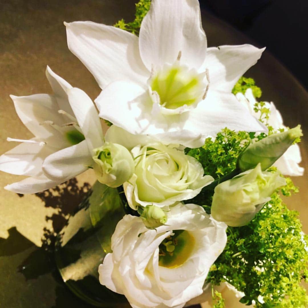 夏木マリさんのインスタグラム写真 - (夏木マリInstagram)「おはようございます〜  風姿花伝を感じた朝でございます。 よい日をね、、、 #おはようシリーズ #goodmorning  #goodluck  #お花シリーズ #OneofloveプロジェクトGIG #6.18 #natsukirock  #marinatsuki #Corona #私を生きて #夏木マリ」4月12日 9時35分 - mari_natsuki