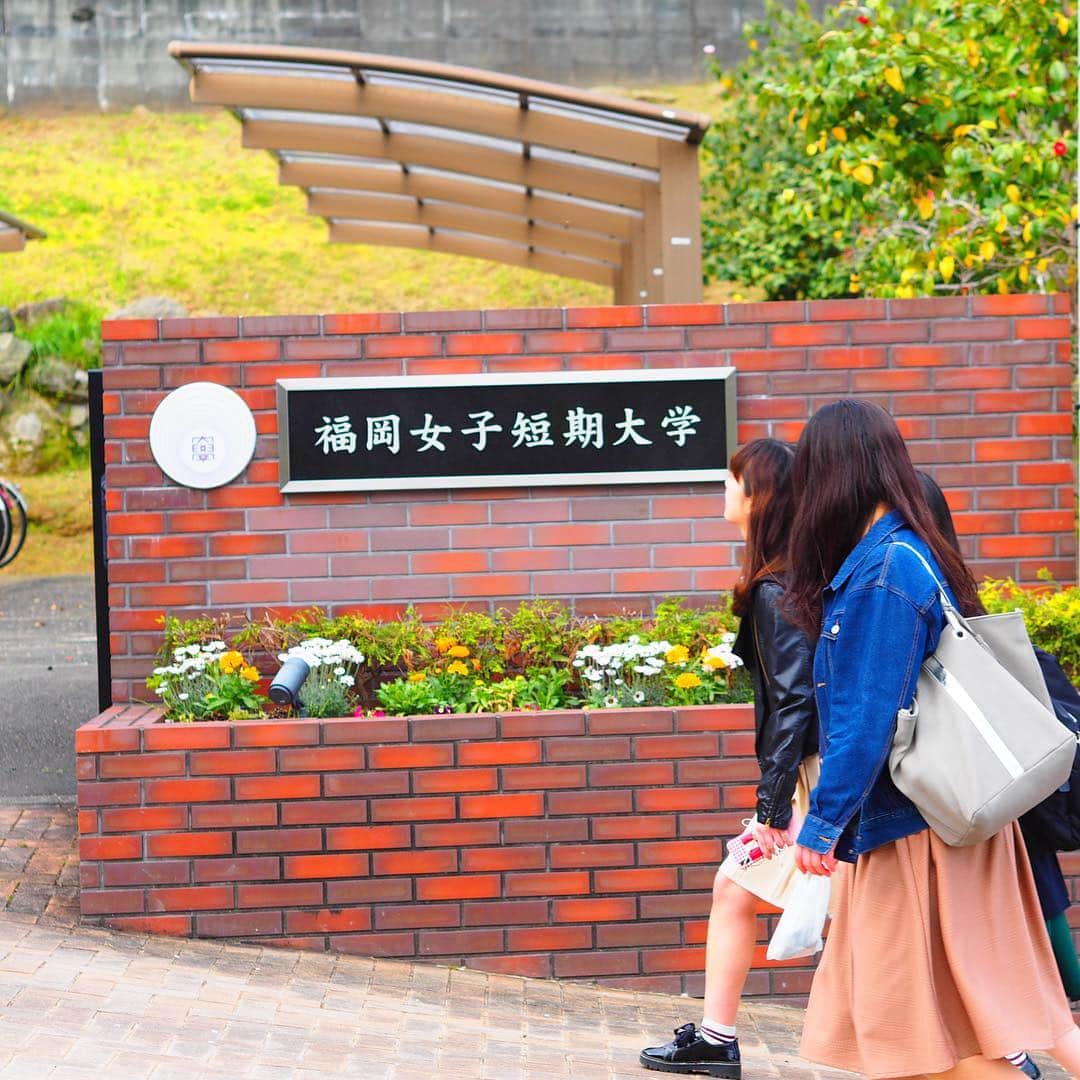 福岡女子短期大学さんのインスタグラム写真 - (福岡女子短期大学Instagram)「@福岡女子短期大学 . おはようございます。#福岡女子短期大学 です🎀 . 今朝の太宰府は曇り空☁️ソメイヨシノは #葉桜  になりましたが、キャンパスの草花🌱は、これから鮮やかな花🌼を咲かせます。 . 今日は日差しが少なく、気温が上がりにくいとのこと🤔体調に気をつけて頑張りましょう✨✨✨ . #太宰府　#福岡　#福女短 #福岡女子短期大学　#福女短　#通学　#4月12日　#太宰府　#スナップショット #スナップ写真　#桜　#葉桜　#コーデ　#学校　#キャンパスライフ　#大学 #新緑 # #福岡女子短期大学子ども学科 #女子大生　#写真好きな人と繋がりたい　#春コーデ　#4月　#さくら　#大学生コーデ　#スナップ #街角スナップ　#福女短スナップ #短大生 #おしゃれさんと繋がりたい . ========[ 資料請求 ]======== ． 新しい福岡女子短期大学の資料請求（2020大学案内）を無料送付中です。本学ホームページからお気軽に申し込みください。 . 子ども学科/健康栄養学科 音楽科/文化教養学科 ． 福岡女子短期大学 住所：‪福岡県太宰府市五条四丁目16番1号‬ tel：‪092-922-4034‬（代表）」4月12日 9時35分 - fukuoka_wjc