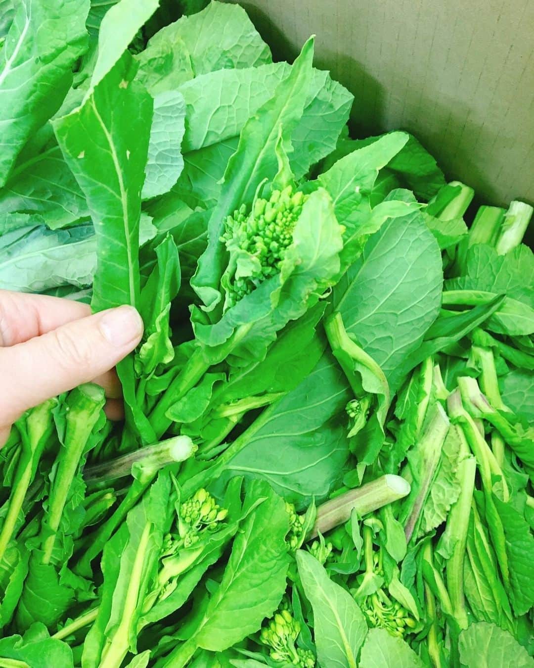 【元祖串焼き】''串タロー''公式アカウントのグルメインスタ