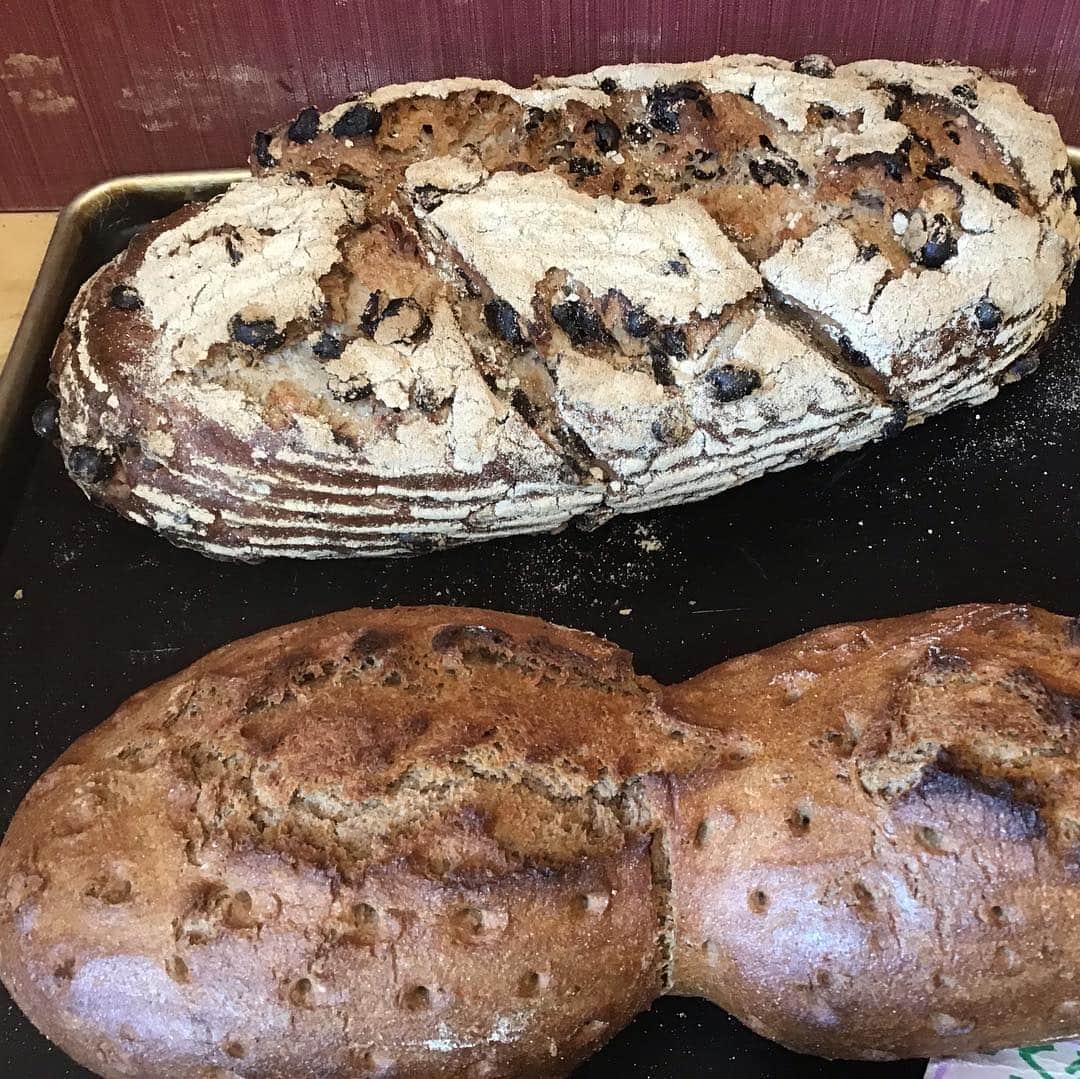 魔女菅原のグルメインスタ