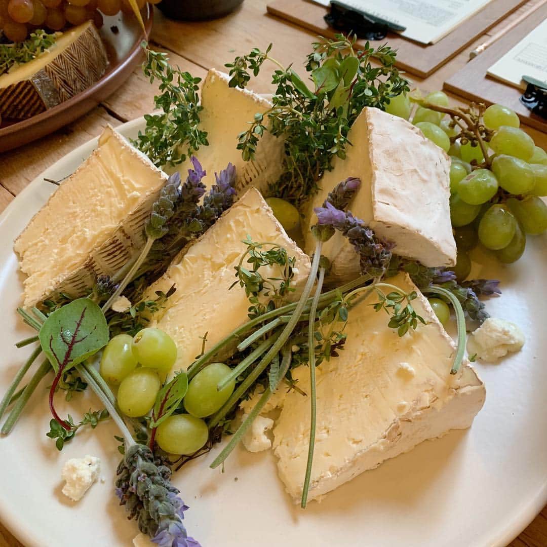 Maddi Braggのインスタグラム：「nothin gets me goin like a good cheese plate, charcuterie & some crudité god damnnnn 🤩」