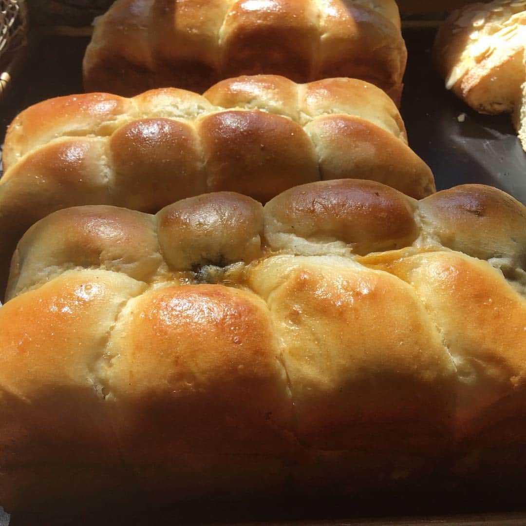 魔女菅原のグルメインスタ