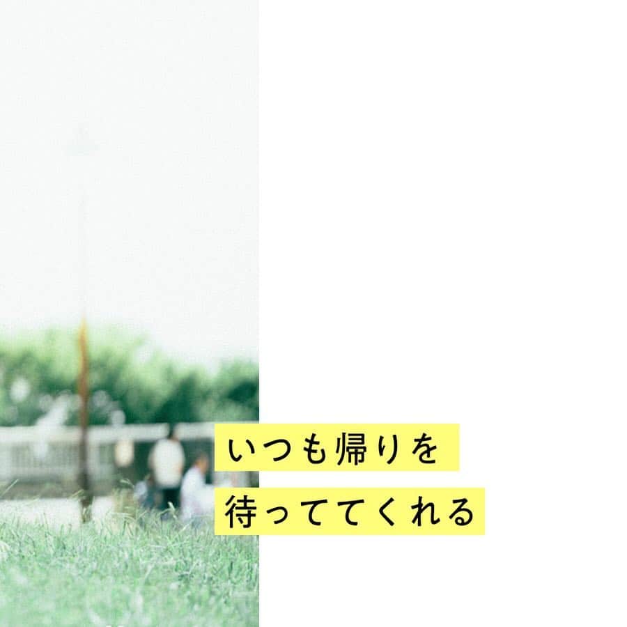 ゼクシィのインスタグラム