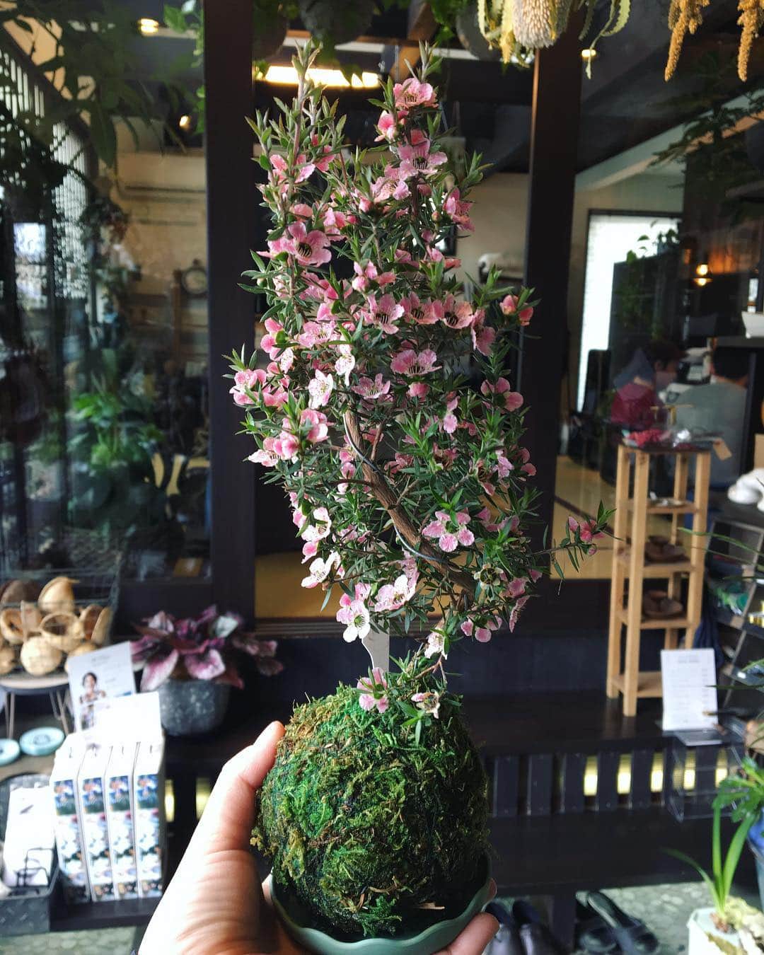 MILLE ECLAT.のグルメインスタ