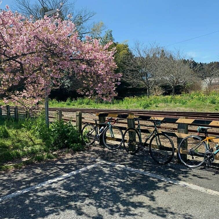 ビアンキJAPANさんのインスタグラム写真 - (ビアンキJAPANInstagram)「本格的な自転車のシーズンが到来しました。この春はBianchiでロードバイクデビューしませんか？」4月12日 21時44分 - bianchijapan