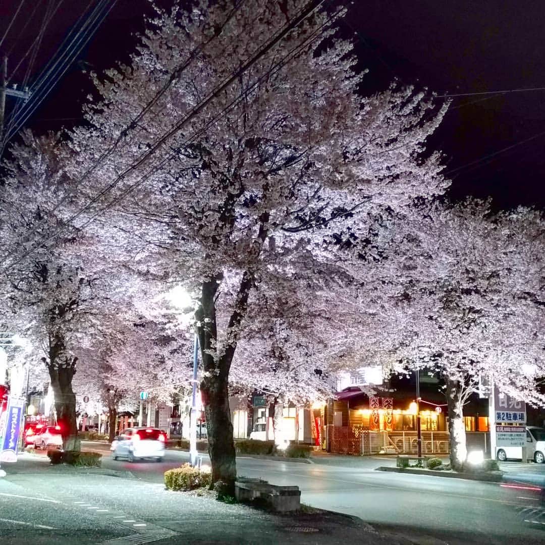 高口里純さんのインスタグラム写真 - (高口里純Instagram)「散歩に行ってきました。  #桜#夜桜#美しすぎる桜並木#鹿沼市#ライトアップ  #cherryblossom #night#lightup」4月12日 20時12分 - takaguchijay