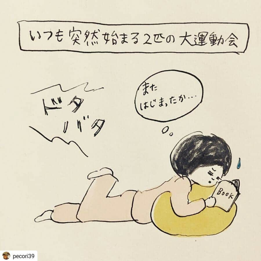 猫壱（ねこいち•ネコイチ）さんのインスタグラム写真 - (猫壱（ねこいち•ネコイチ）Instagram)「【#猫まんが 】 いつだってそれは突然はじまるもの…😁 ▫ ▫ #猫あるある ▫ ▫ #Repost @pecori39 and @necopecori  thank-you💕💕💕💕 イラスト @hanautamu thank-you💕💕💕💕 • • • • • 華麗なジャンプでした〜🐈💨🤕😂 ▫ #猫のいる暮らし #cat #ねこ #看板猫 #ねこ部 #猫  #にゃんすたぐらむ #ねこすたぐらむ #元保護猫 #多頭飼いねこ #多頭飼い初心者  #ペコリニャンニャン劇場 #猫マンガ #イラスト日記」4月12日 20時22分 - necoichicojp