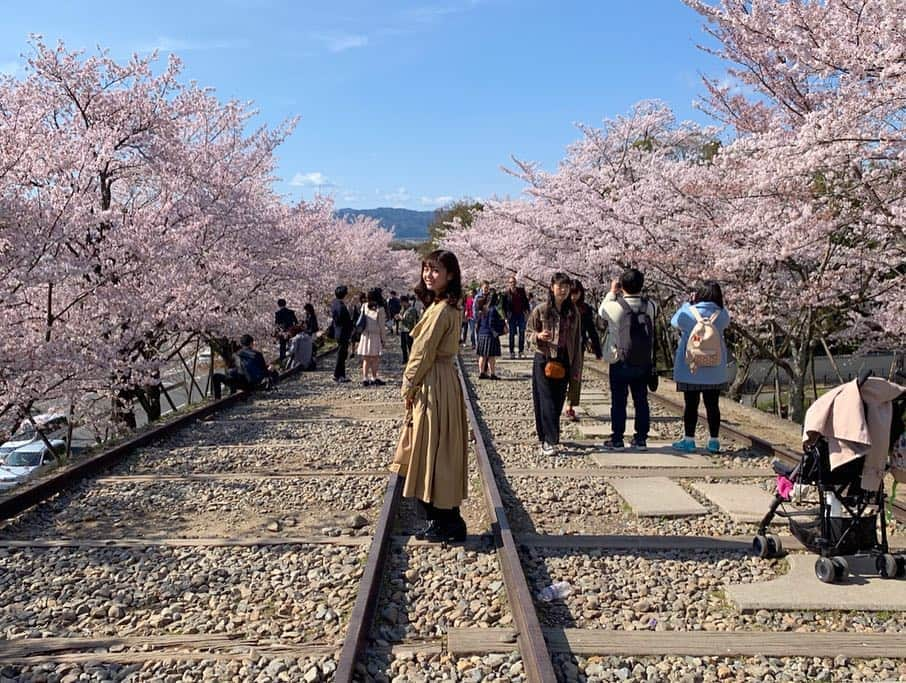 杉浦みずきさんのインスタグラム写真 - (杉浦みずきInstagram)「. 蹴上インクライン🌸 京都の桜はやっぱり良い」4月12日 20時28分 - mizuki_sugiura