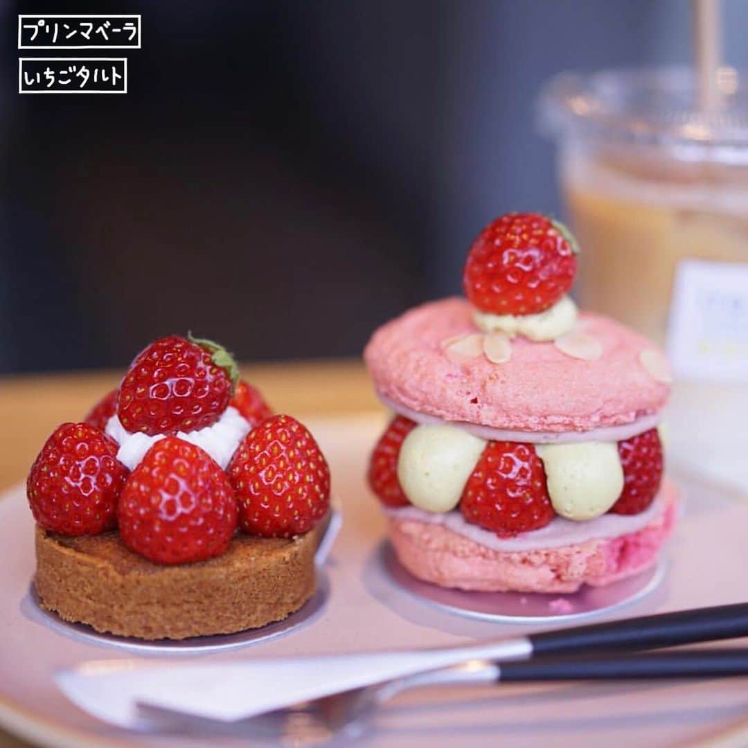 4foodie, for foodieさんのインスタグラム写真 - (4foodie, for foodieInstagram)「感謝 @amysbyamy 的分享🙏🏻 🔹標記 #4foodieforfoodie 就有機會讓我們分享你的文章哦🔹 📍Tokyo, Japan iro... / 以下餐點及價位 いちごタルト/650(税込) プリンマベーラ/650(税込) アイスカフェラテ/500(税込) 美味程度：🌕🌕🌕🌕🌗 環境衛生：🌕🌕🌕🌕🌗 服務態度：🌕🌕🌕🌕🌗 再訪意願：🌕🌕🌕🌕🌕 🗺東京都世田谷区宮の坂1-2-20 🚇東急世田谷線「宮の坂」1號出口徒步3分 ☎️03-6884-2311 ⏰9:30-17:30（Tue./Wed. OFF) 💡補充💡草莓塔外皮非常的酥喜歡酥脆塔皮的人應該會很愛👍👍草莓別看他小真的超甜的奶油也很清爽完成度非常高😍馬卡龍的部分說真的蠻甜的但是要是你跟我一樣是愛吃馬卡龍的人應該會愛不釋手😋😋😋馬卡龍部分很酥內餡的開心果和覆盆莓奶油和滿滿的新鮮草莓真的所有願望一顆滿足啊👍👍👍✨真的蠻推薦給喜歡吃甜點的朋友們有機會一定要去嚐嚐他們家的好吃甜點！ #4foodie #4foodieinjapan #japan #tokyo #日本 #東京 #宮の坂 #カフェ #カフェ巡り #いちご #タルト #カフェラテ ©版權所有，不得轉載copyrights reserved」4月12日 20時29分 - 4foodie
