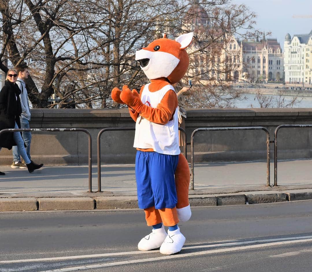 ITTF Worldさんのインスタグラム写真 - (ITTF WorldInstagram)「👀 Have you spotted a 🦊 on the streets of Budapest⁉️ That'll be Pongi, the #ITTFWorlds2019 mascot! He doesn't bite 😉  #NotJustPingPong #FridayFeeling」4月12日 20時34分 - wtt
