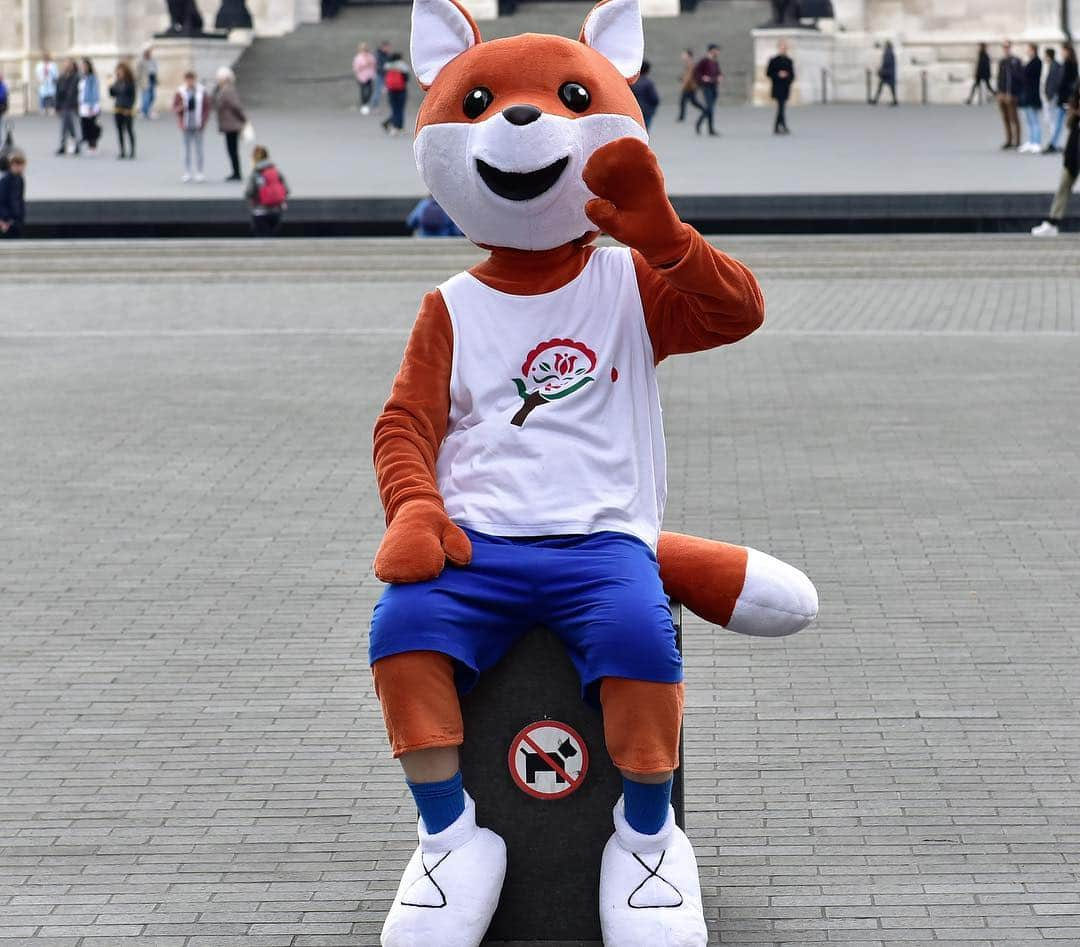 ITTF Worldさんのインスタグラム写真 - (ITTF WorldInstagram)「👀 Have you spotted a 🦊 on the streets of Budapest⁉️ That'll be Pongi, the #ITTFWorlds2019 mascot! He doesn't bite 😉  #NotJustPingPong #FridayFeeling」4月12日 20時34分 - wtt