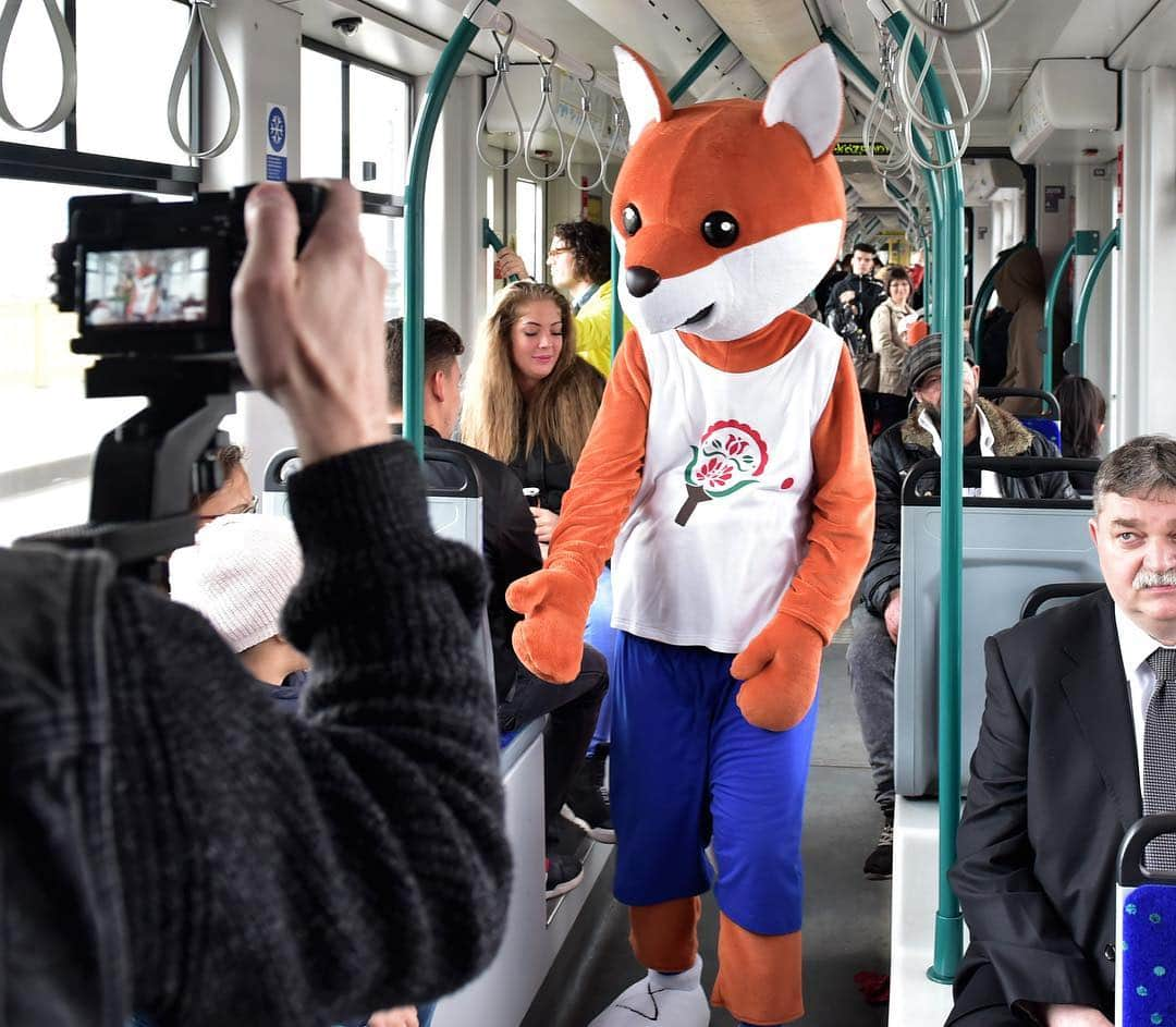 ITTF Worldさんのインスタグラム写真 - (ITTF WorldInstagram)「👀 Have you spotted a 🦊 on the streets of Budapest⁉️ That'll be Pongi, the #ITTFWorlds2019 mascot! He doesn't bite 😉  #NotJustPingPong #FridayFeeling」4月12日 20時34分 - wtt