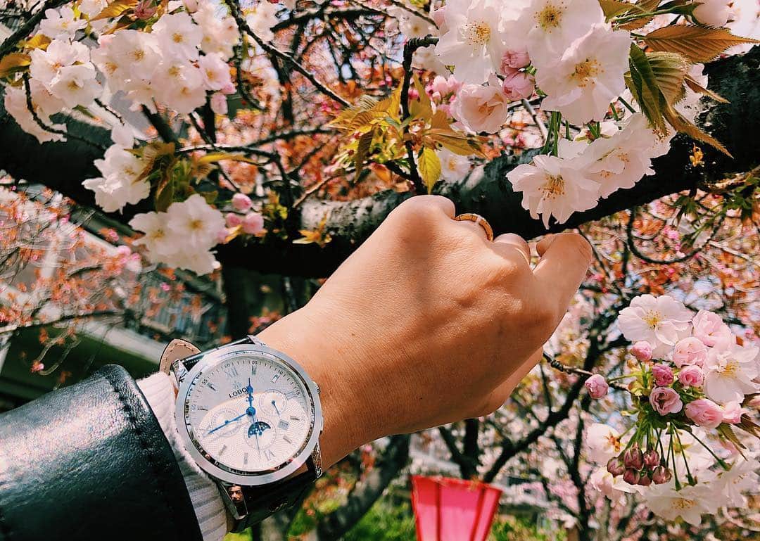 七菜香さんのインスタグラム写真 - (七菜香Instagram)「@loborjapan から頂いた時計と一緒に 大阪造幣局のお花見⌚️🌸 今年の造幣局は15日までらしいけど まだまだツボミの桜もたくさんで この土日で咲ききるのかな〜？て感じだったよ🤣 ・ ・ 大きめサイズのメンズライクが可愛いloborの腕時計 七菜香がつけてるのは"CELLINI S DES VOEUX(BLACK)"✨ クーポンコード"nanaka0118"を使えば 10% OFFになるみたい🤙🏻🍒 ・ ・ ・ ・ ・ ・ #watch #lobor #ロバー #時計 #腕時計 #手元倶楽部 #cherryblossom #sakura #osaka #japan #selfie #girl #spring #pregnant #8months #29w3d #マタニティライフ #妊娠8ヶ月 #大阪 #造幣局 #🤰 #🌸」4月12日 20時40分 - nanaka0118
