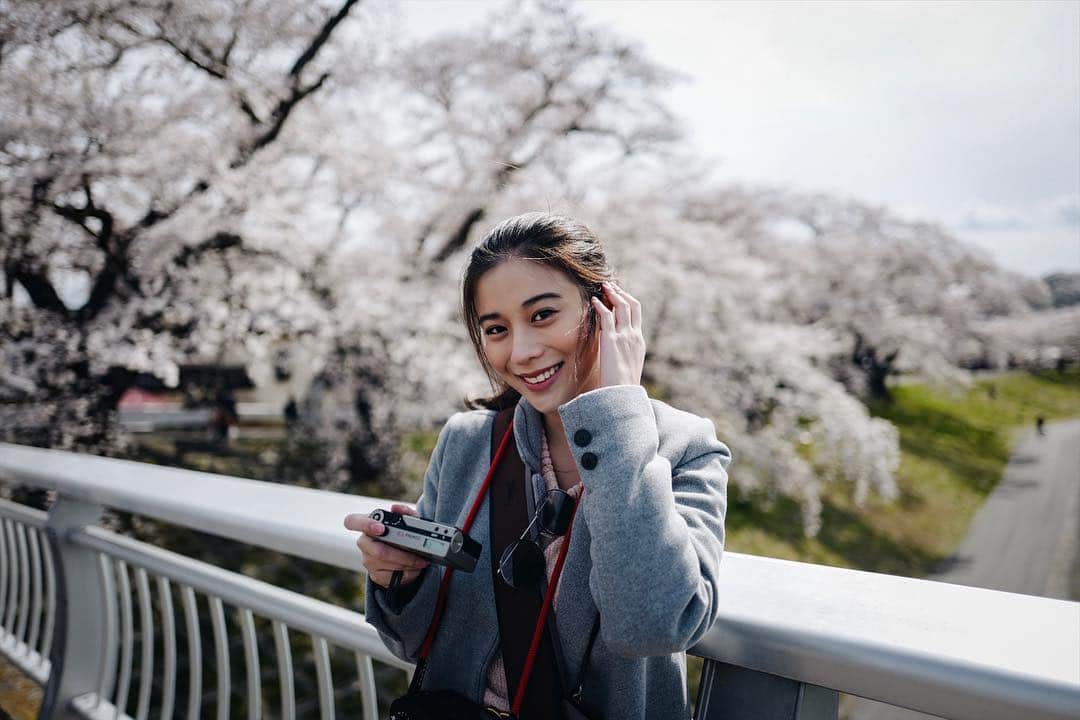 Supassaraさんのインスタグラム写真 - (SupassaraInstagram)「🌸🌈 All of a sudden, i fall in love with the cherry blossom 🧡☺️ #เซนไดxโตเกียวอย่าทำให้เสียวแล้วเลี้ยวหลบได้หม๊าย cr.- @chao_ctn」4月12日 20時46分 - supassra_sp